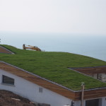 Grass Green Roof Solutions