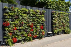 Green Walls | Modular models